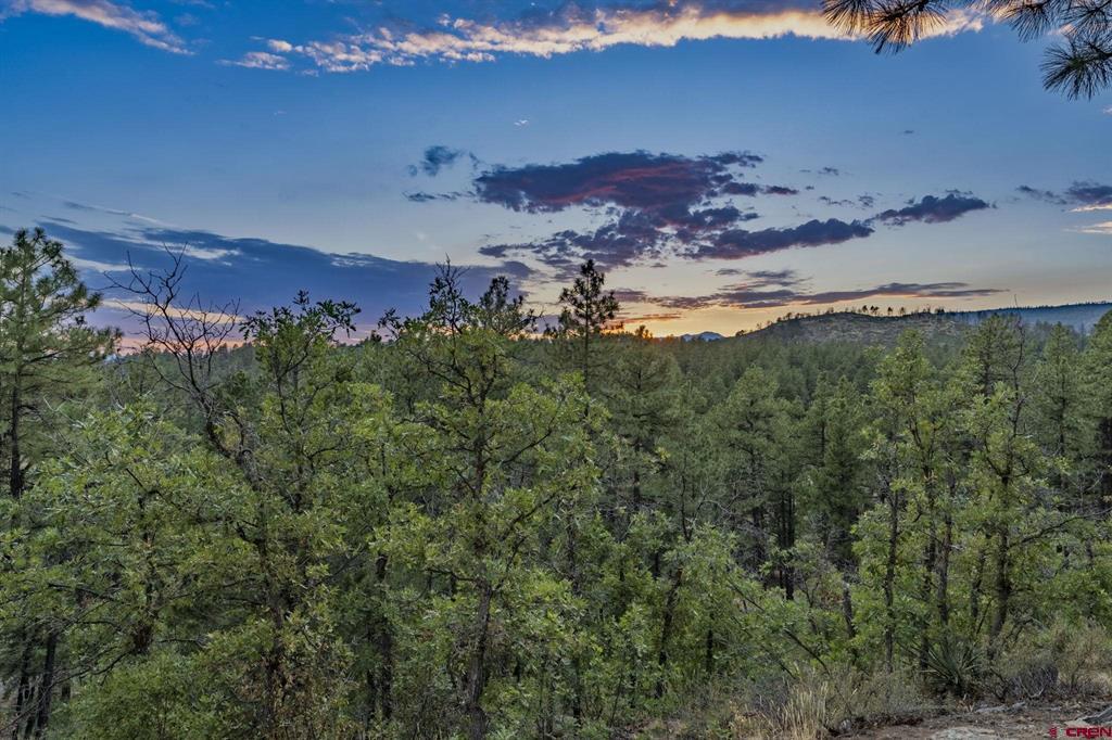 7187 Cr 228 Bayfield CO 81122