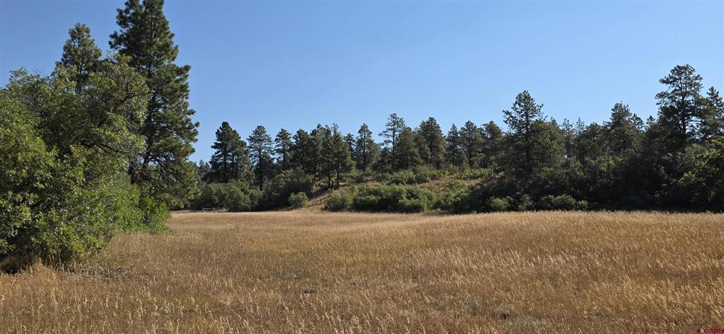 7187 Cr 228 Bayfield CO 81122