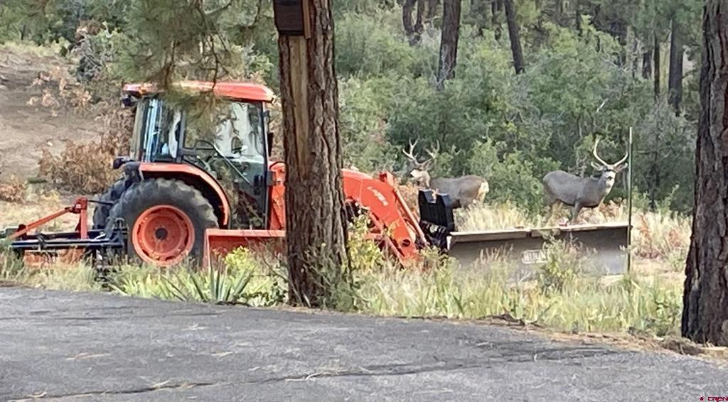 7187 Cr 228 Bayfield CO 81122