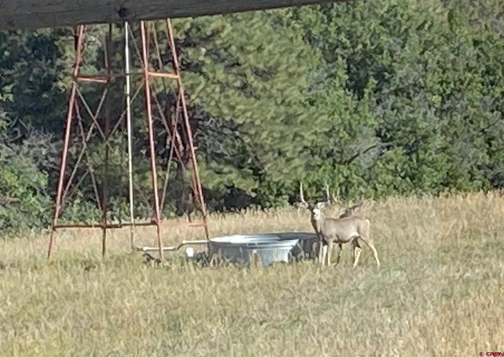 7187 Cr 228 Bayfield CO 81122