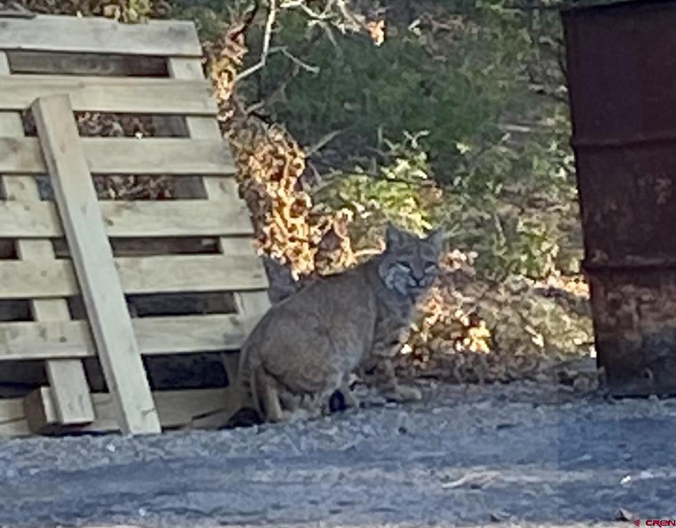 7187 Cr 228 Bayfield CO 81122