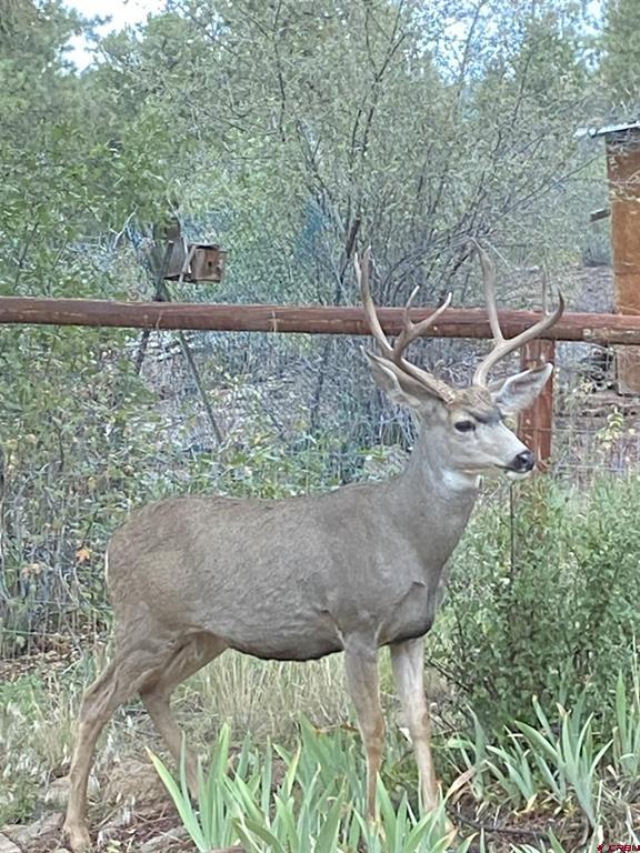 7187 Cr 228 Bayfield CO 81122