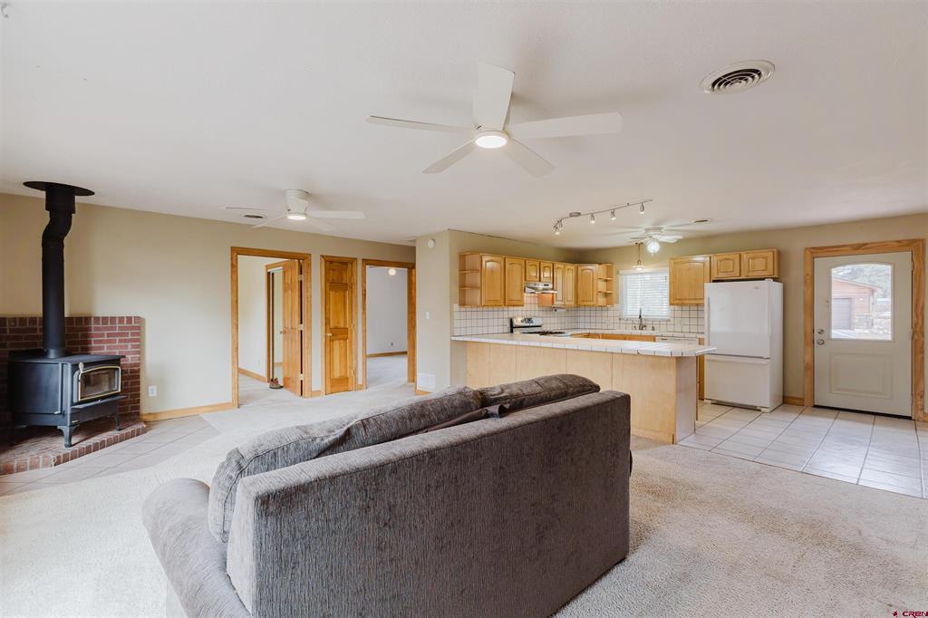 46 E Radiant Pagosa Springs CO 81147