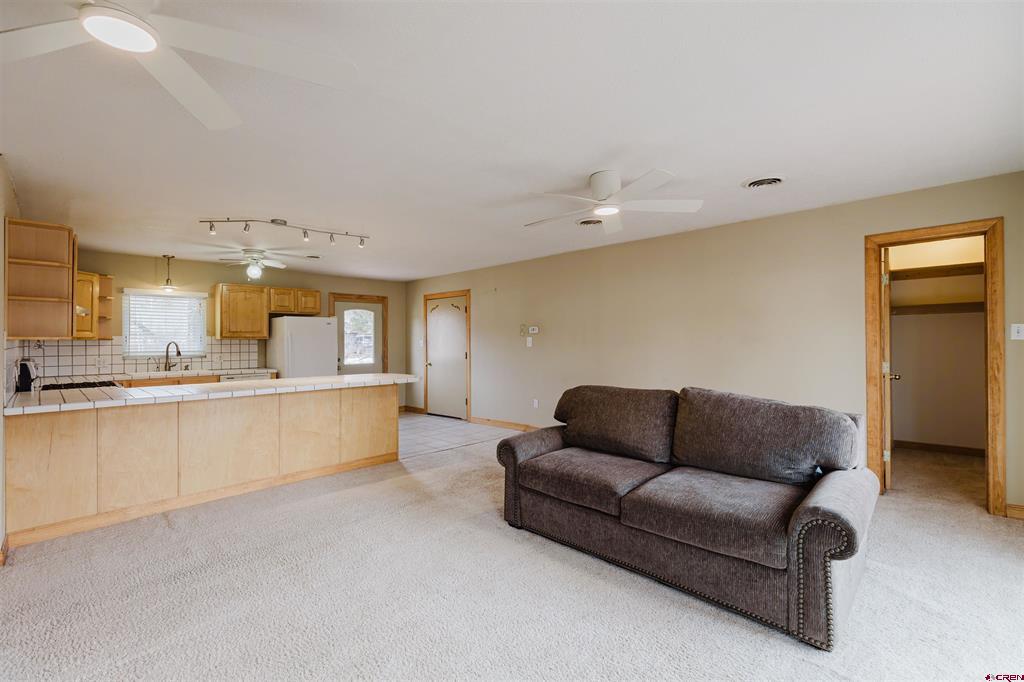 46 E Radiant Pagosa Springs CO 81147
