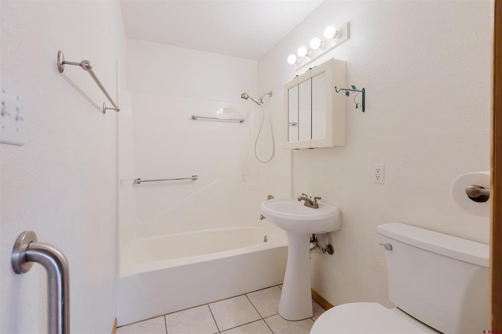 46 E Radiant Pagosa Springs CO 81147