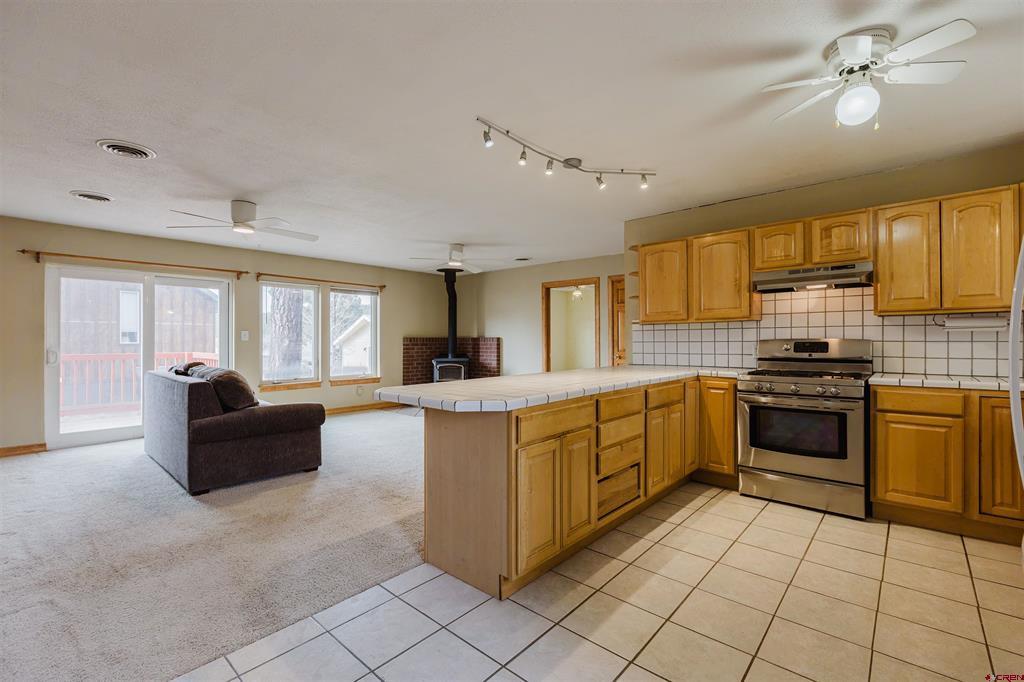 46 E Radiant Pagosa Springs CO 81147