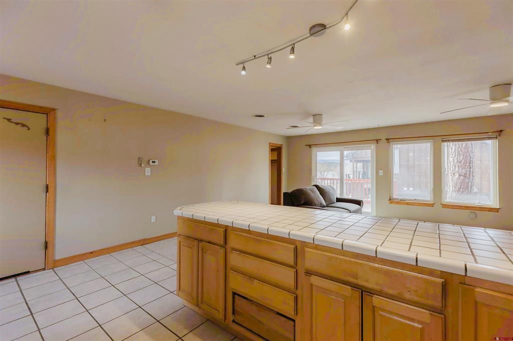 46 E Radiant Pagosa Springs CO 81147