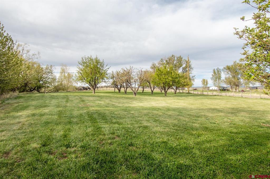 18173 Road 22 Cortez CO 81321