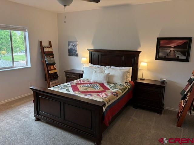 1244 Peppertree Drive Montrose CO 81401