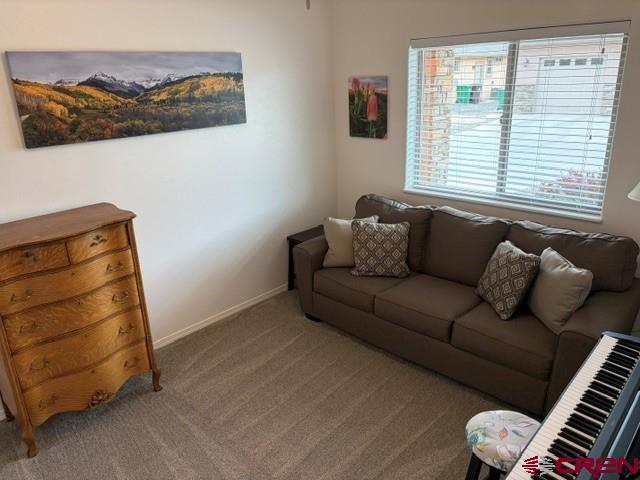 1244 Peppertree Drive Montrose CO 81401