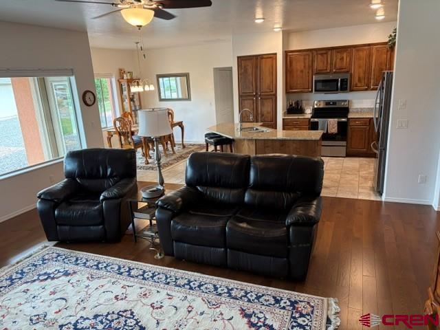 1244 Peppertree Drive Montrose CO 81401