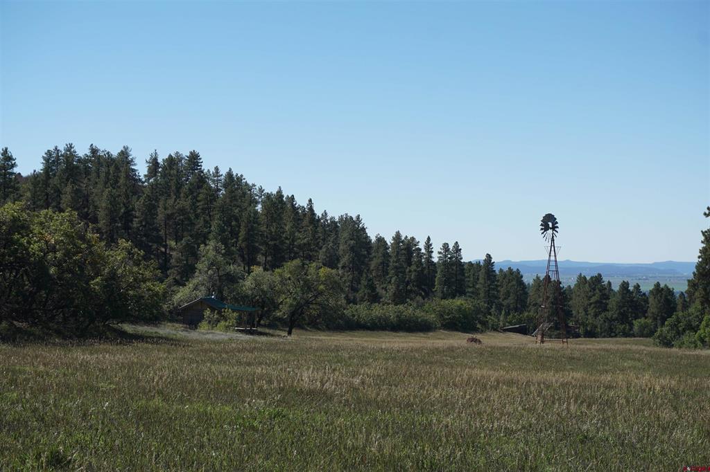 7187 County Road 228 Bayfield CO 81122