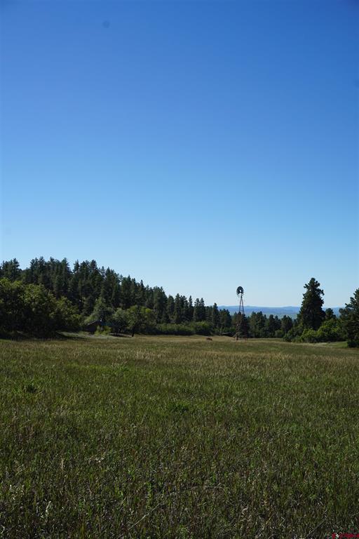 7187 County Road 228 Bayfield CO 81122