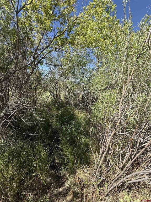 41696 Road J.75 Mancos CO 81328