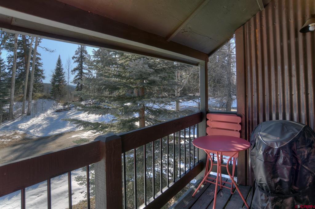 166 Yankee Girl Court Durango CO 81301