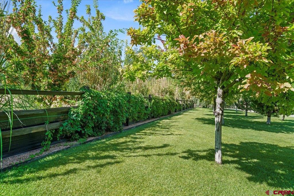 62347 Nectar Court Montrose CO 81403