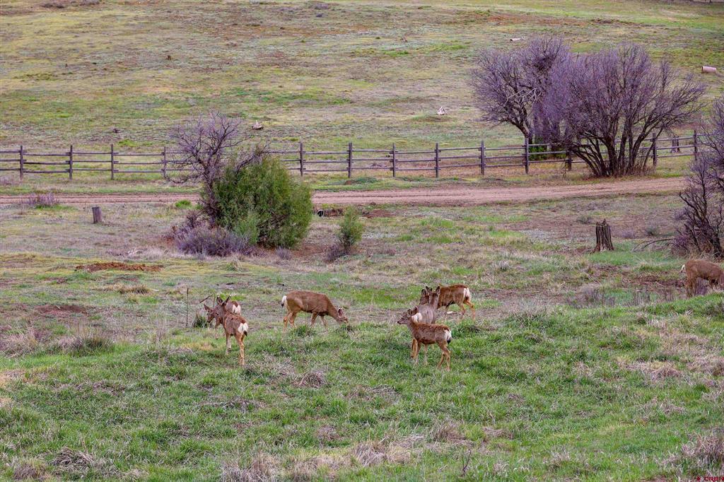 224 Quien Sabe Street Pagosa Springs CO 81147