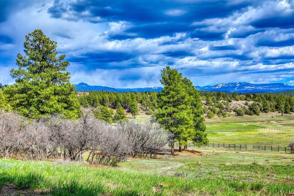 224 Quien Sabe Street Pagosa Springs CO 81147