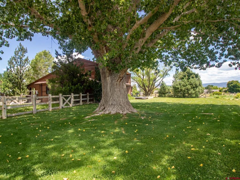 2500 Columbine Lane Montrose CO 81401