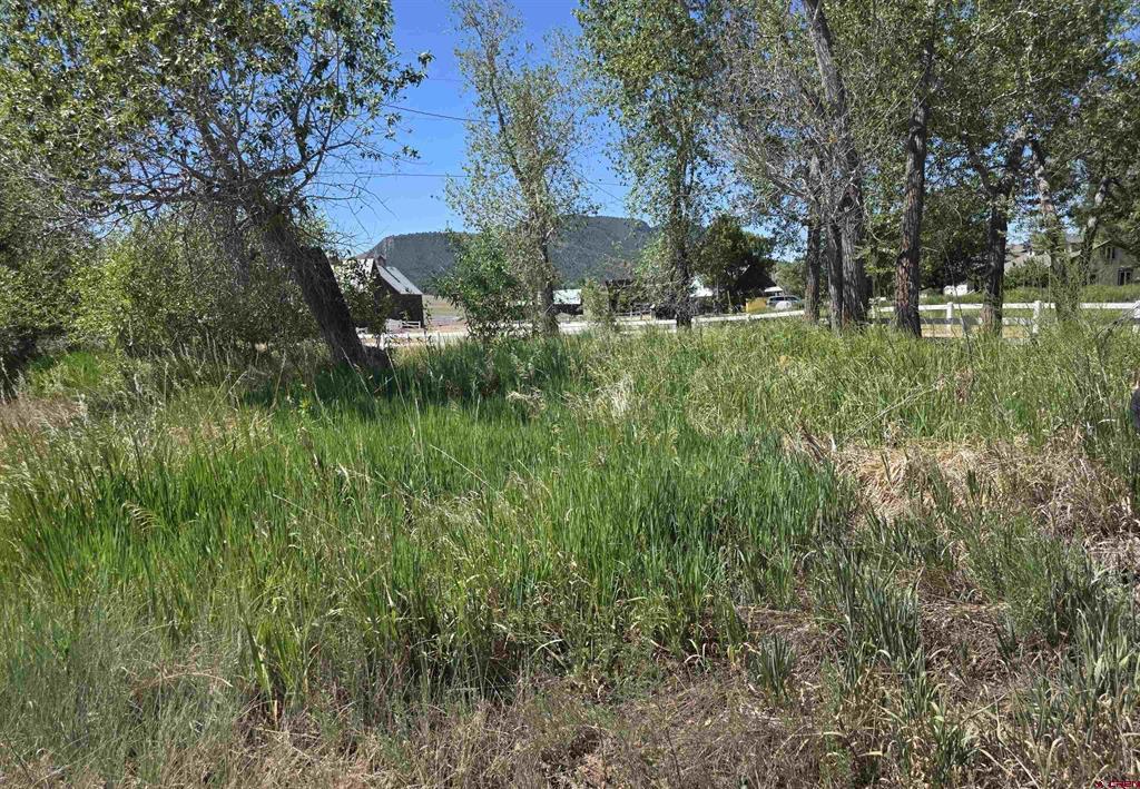 39344 Road J Mancos CO 81328