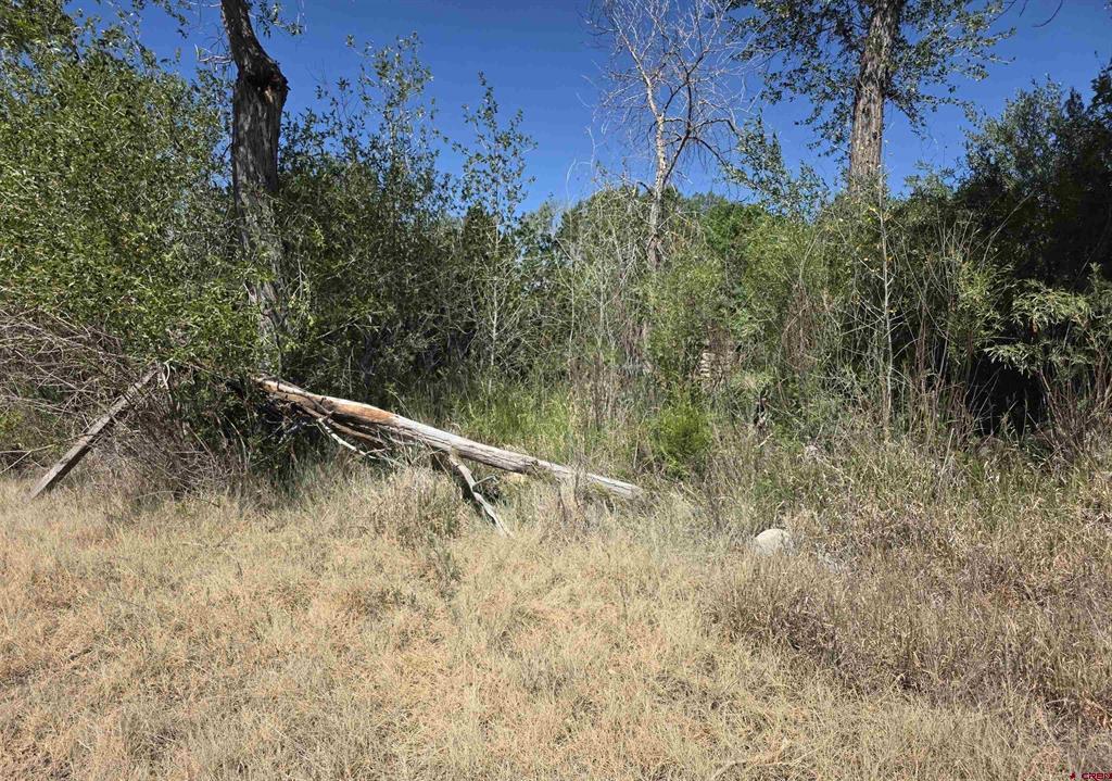 39344 Road J Mancos CO 81328