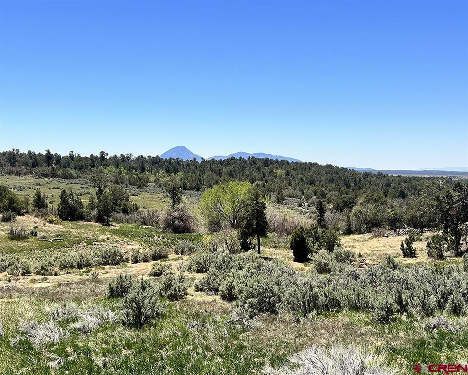 14495 Road W Yellow Jacket CO 81335