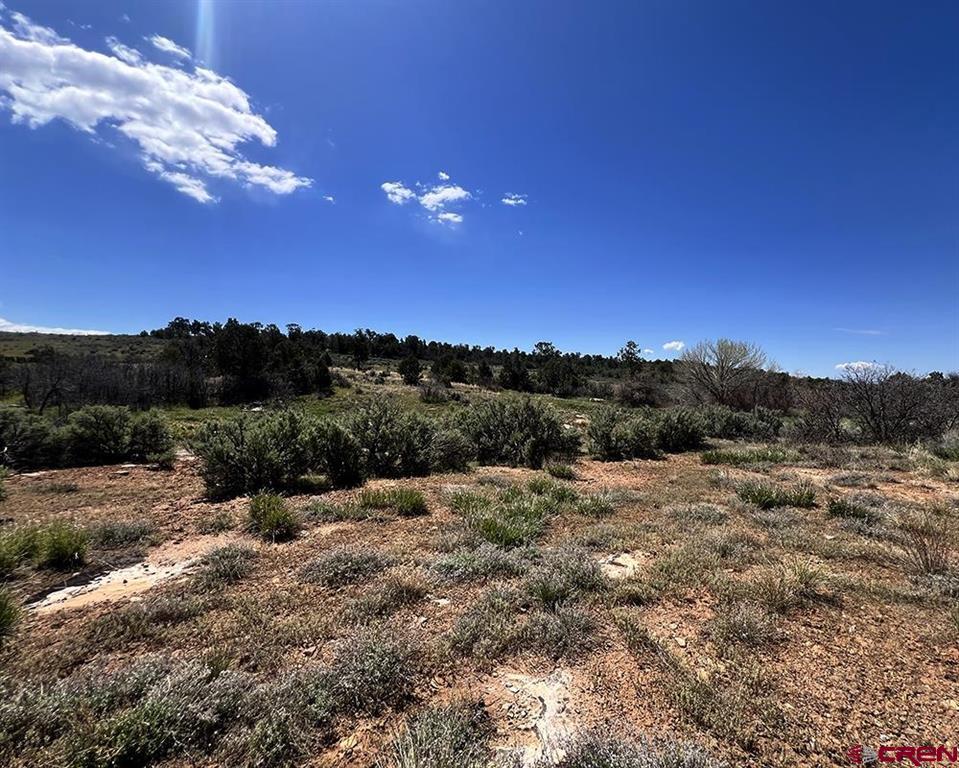 14495 Road W Yellow Jacket CO 81335