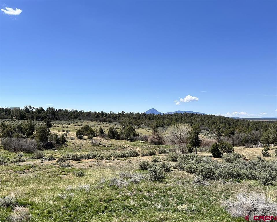 14495 Road W Yellow Jacket CO 81335