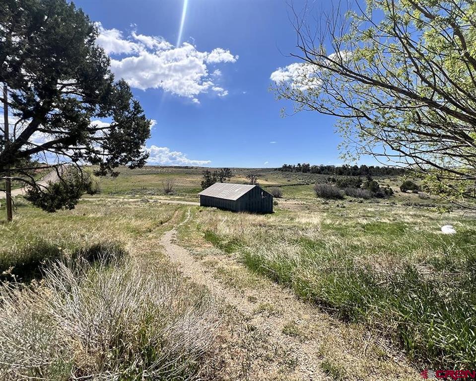 14495 Road W Yellow Jacket CO 81335