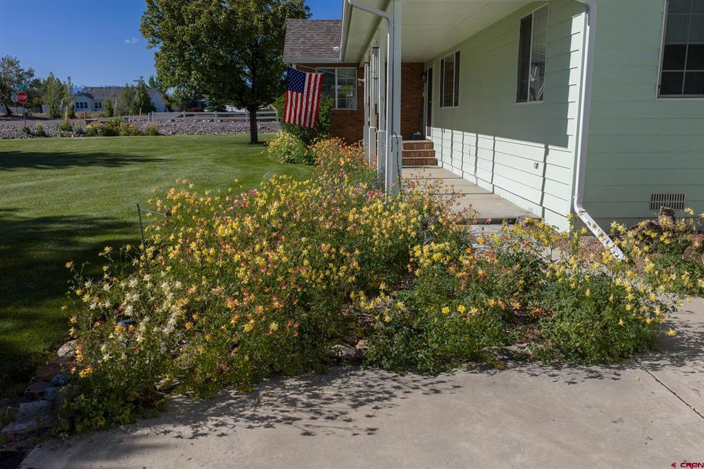 20691 Tulip Circle Montrose CO 81403