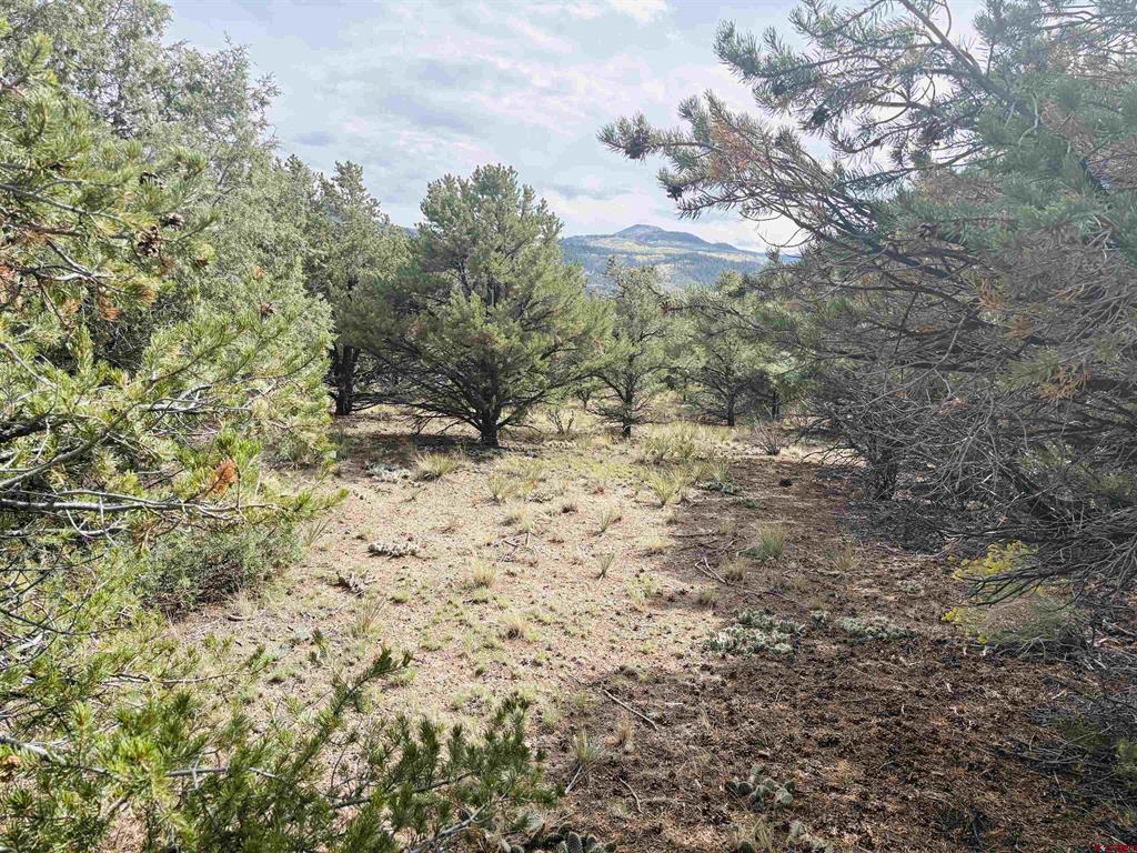 642 Milner Pass South Fork CO 81154