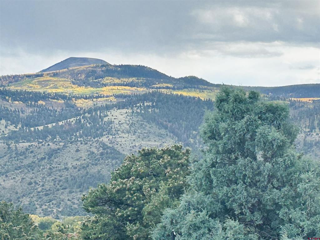 642 Milner Pass South Fork CO 81154