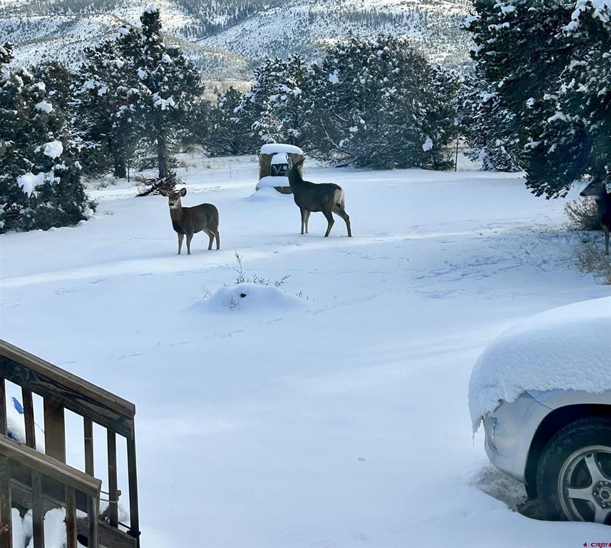 642 Milner Pass South Fork CO 81154