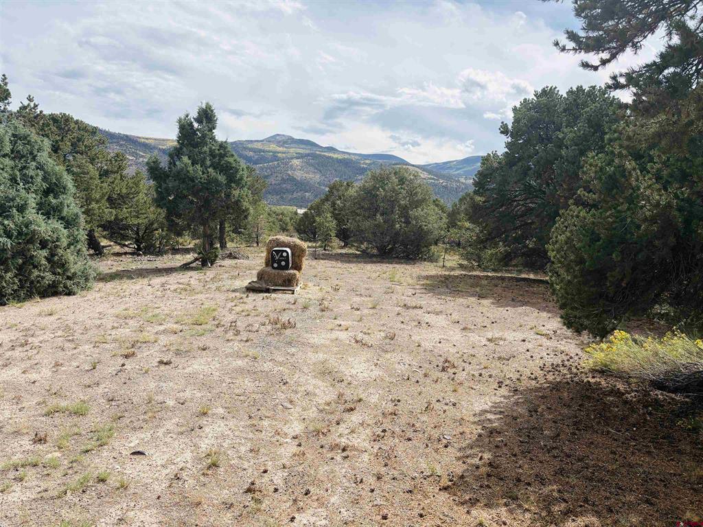 642 Milner Pass South Fork CO 81154