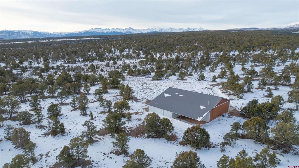 1893 Cotton Road Montrose CO 81403