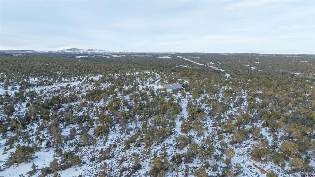 1893 Cotton Road Montrose CO 81403
