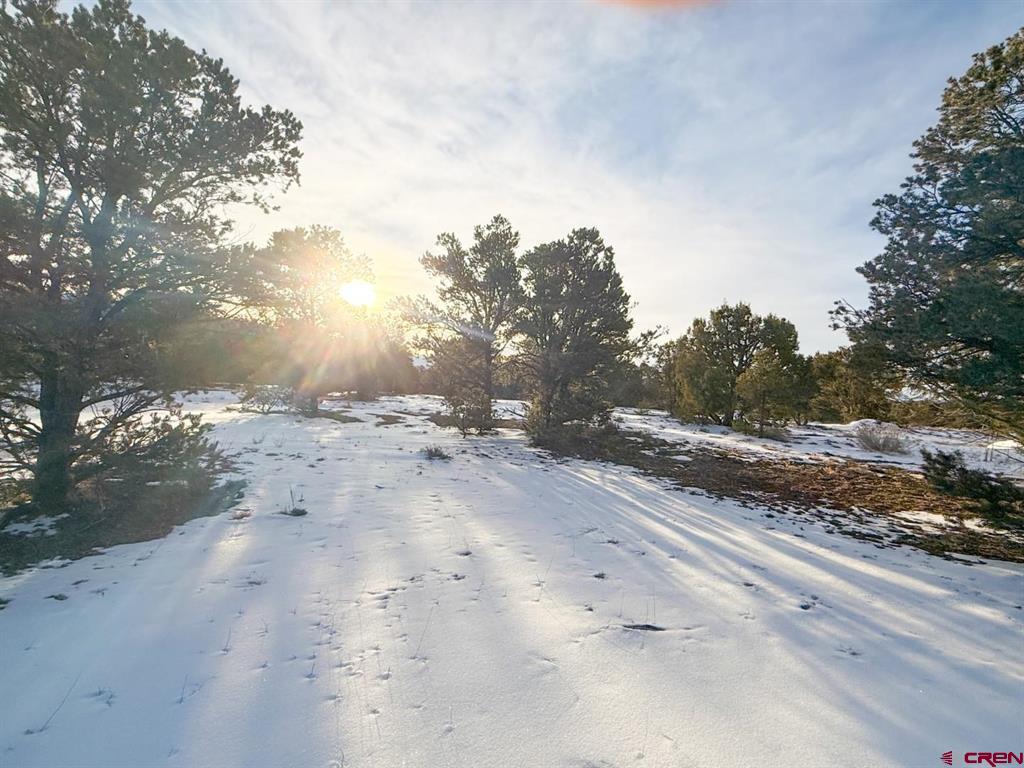 1893 Cotton Road Montrose CO 81403