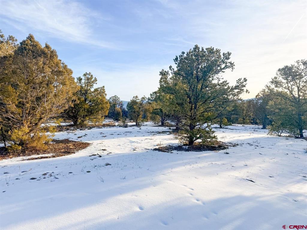 1893 Cotton Road Montrose CO 81403