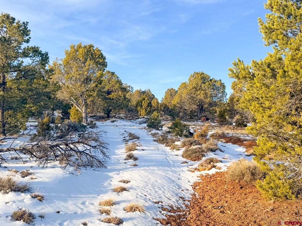 1893 Cotton Road Montrose CO 81403