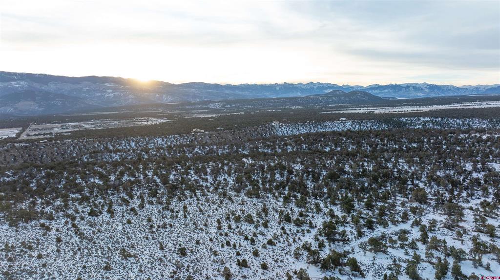 1893 Cotton Road Montrose CO 81403