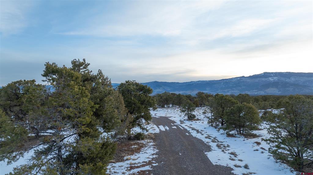 1893 Cotton Road Montrose CO 81403
