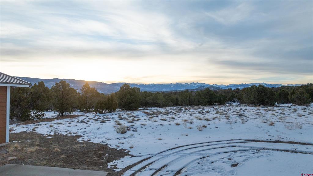1893 Cotton Road Montrose CO 81403