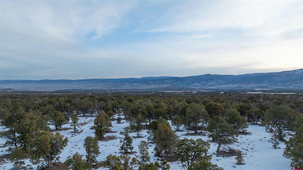 1893 Cotton Road Montrose CO 81403