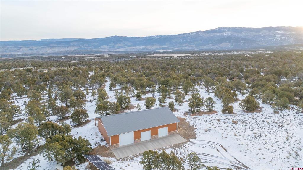 1893 Cotton Road Montrose CO 81403