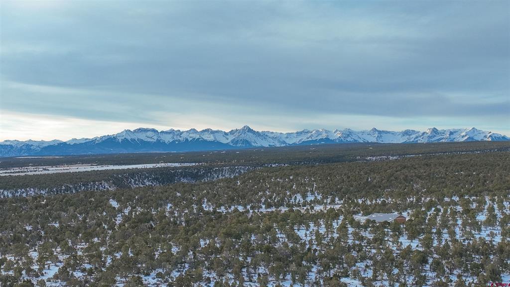 1893 Cotton Road Montrose CO 81403