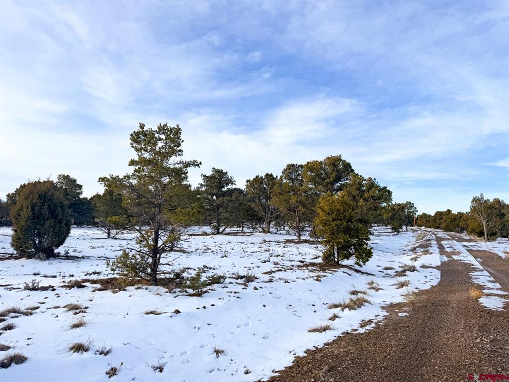 1893 Cotton Road Montrose CO 81403