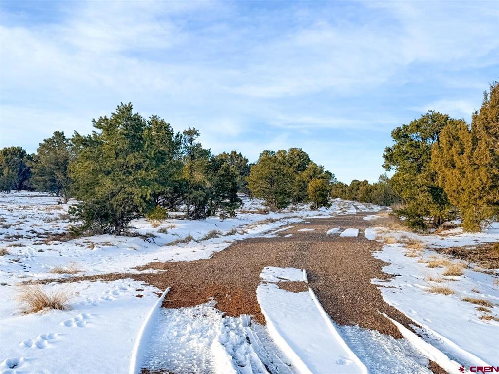 1893 Cotton Road Montrose CO 81403