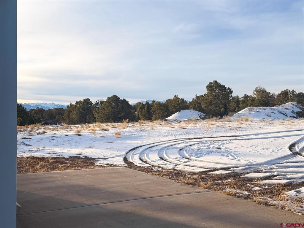 1893 Cotton Road Montrose CO 81403