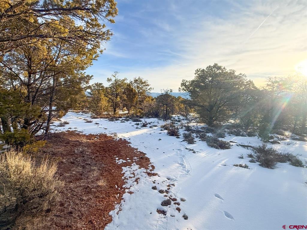 1893 Cotton Road Montrose CO 81403