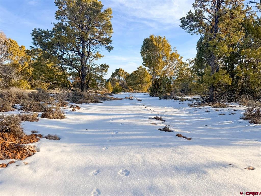 1893 Cotton Road Montrose CO 81403